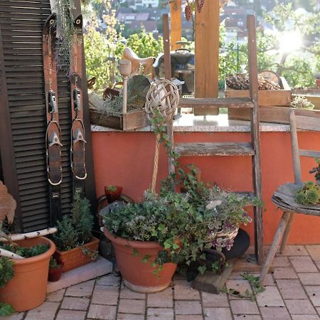Ferienwohnung Im Paradies Momlingen Luaran gambar